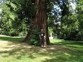 oly production video 4