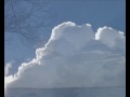 Vorschau Bild