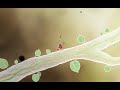 Botanicula by Amanita Design