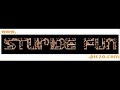 incroyable montagne russe - STUPIDEFUN.COM