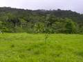 Video de la Finca