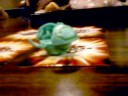 Josh And Tim Bakugan Brawling 1