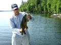 Bass at last