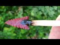 Stone Age Arrows - A Photo Essay