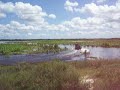 Airboat 350 SBC Gileo 12X7.5 2.37 Rotator Cowsh*t Mound St. Johns River