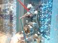 videos de Lándön4