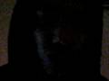 videos de city'lee freestyle dvd