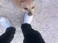 roméééééééééééééooo roméééééééééééééooo