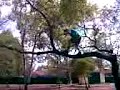 Shayne falling off a tree HARD