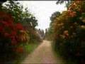 Exbury Gardens - New Forest - England