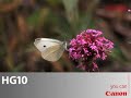 Canon HG10 (French) Canon HG10 (French)