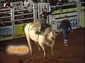 Final do Rodeio PBR