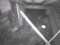 Rat Does Not Take the Bait