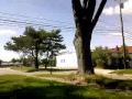 videos de First aerial vid