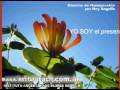Musica para Reiki (con Imágenes de Flores de Bach)