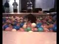 Ball pit jump Ball pit jump