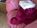 Lula's first birthday present