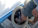 iNnoVaZiOni RiCciOneSi
