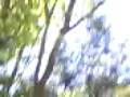 videos de Fronton golf