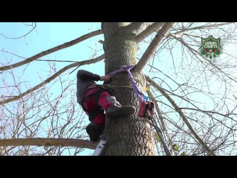 Bruno & Nicolas - Boomhutten bouwen