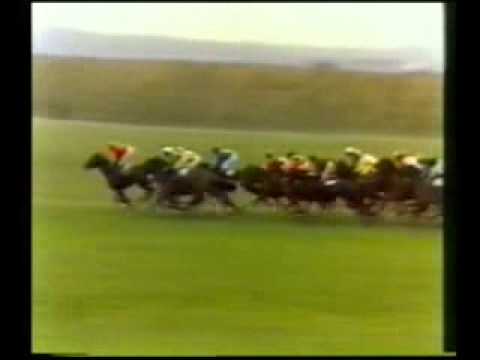 horse racing horse racing