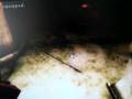 Oblivion-magic-sword