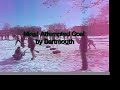 Quidditch at Dartmouth!