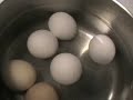 egg salad sandwich