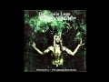 Eluveitie - Dessumiis Luge with lyrics