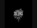 the vines