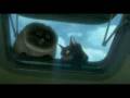 videos de Bolt Gatos Malo Nestor & David.mov