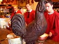 la mere poulard.html