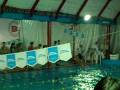 Natacion 100 metros combinados