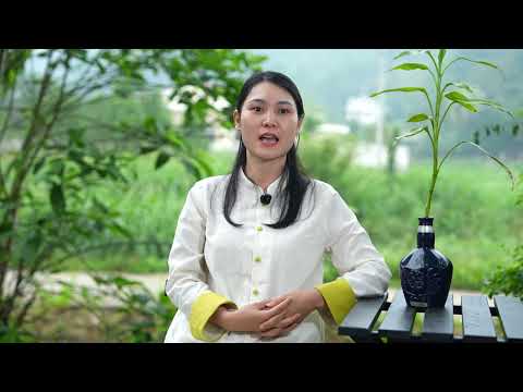 Click to play video Học Viên Bùi Thị Thanh Hương - Giám đốc doanh nghiệp chia sẻ sau chương trình