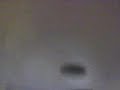 Cuando los pericos atacan.