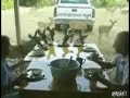 Deers eat with some campers