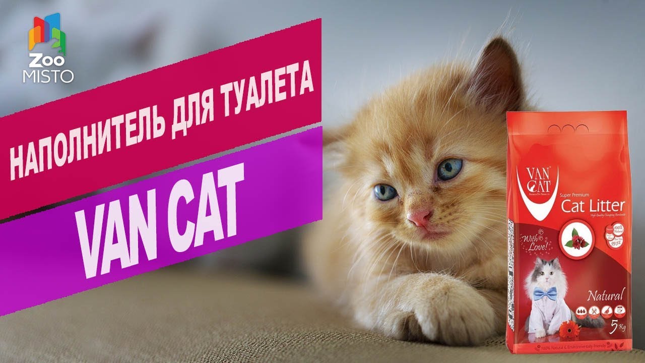 Наполнитель для туалета Van Cat | Обзор наполнителя для туалета Van Cat