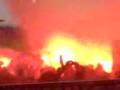 Hoppers in Winti (cup07)