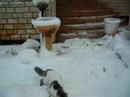 Tig snow margakiot 310108-1