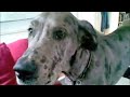 Dave Talking 6mths