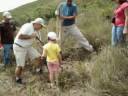 Reforestacion en el Parque Nacional Macarao. Edo Miranda. Venezuela