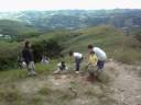 Reforestacion en el Parque Nacional Macarao. Edo Miranda. Venezuela