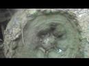 covered-in-mud