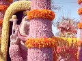 bloemencorso 2008 lisse