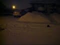 Snow Bunnies -SASKATOONSCANNER