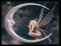 Faeries
