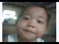 mj bibo