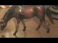 videos de Heartland Horse