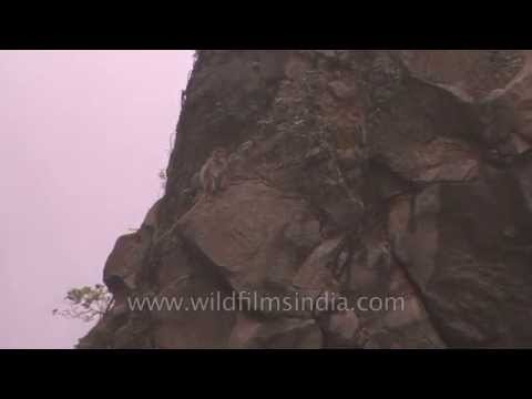 how to reach malshej ghat from mumbai by train