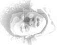videos de coreyknocked out.wmv